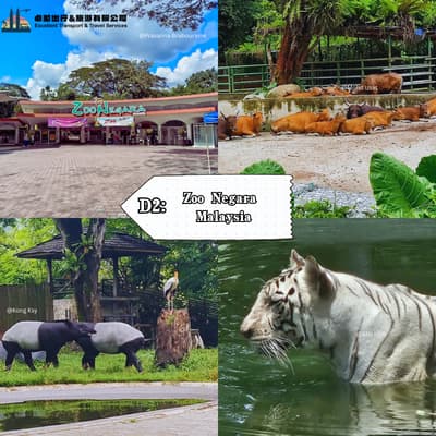 Zoo Negara Malaysia - Kuala Lumpur